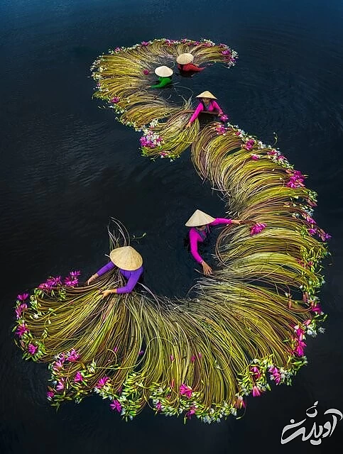 ۱۶ عکس هوایی برگزیده + تصاویر